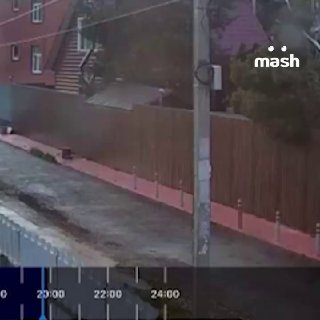 MASH: карманник Понятой снова в новостях после ДТП и угроз