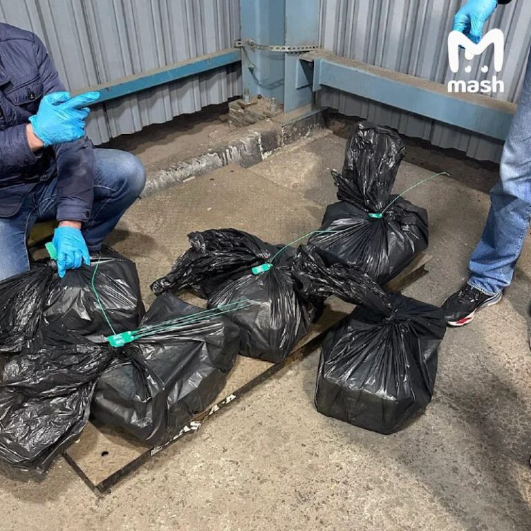 MASH: кокаин на полмиллиарда рублей нашли в порту Санкт-Петербурга